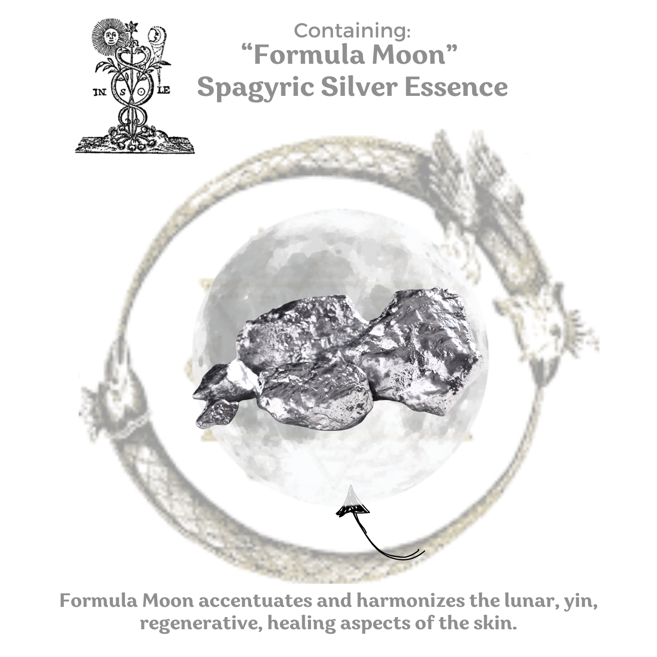 Lunar Night Cream