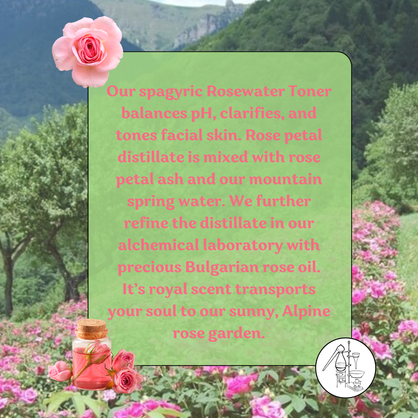 Rosewater Toner