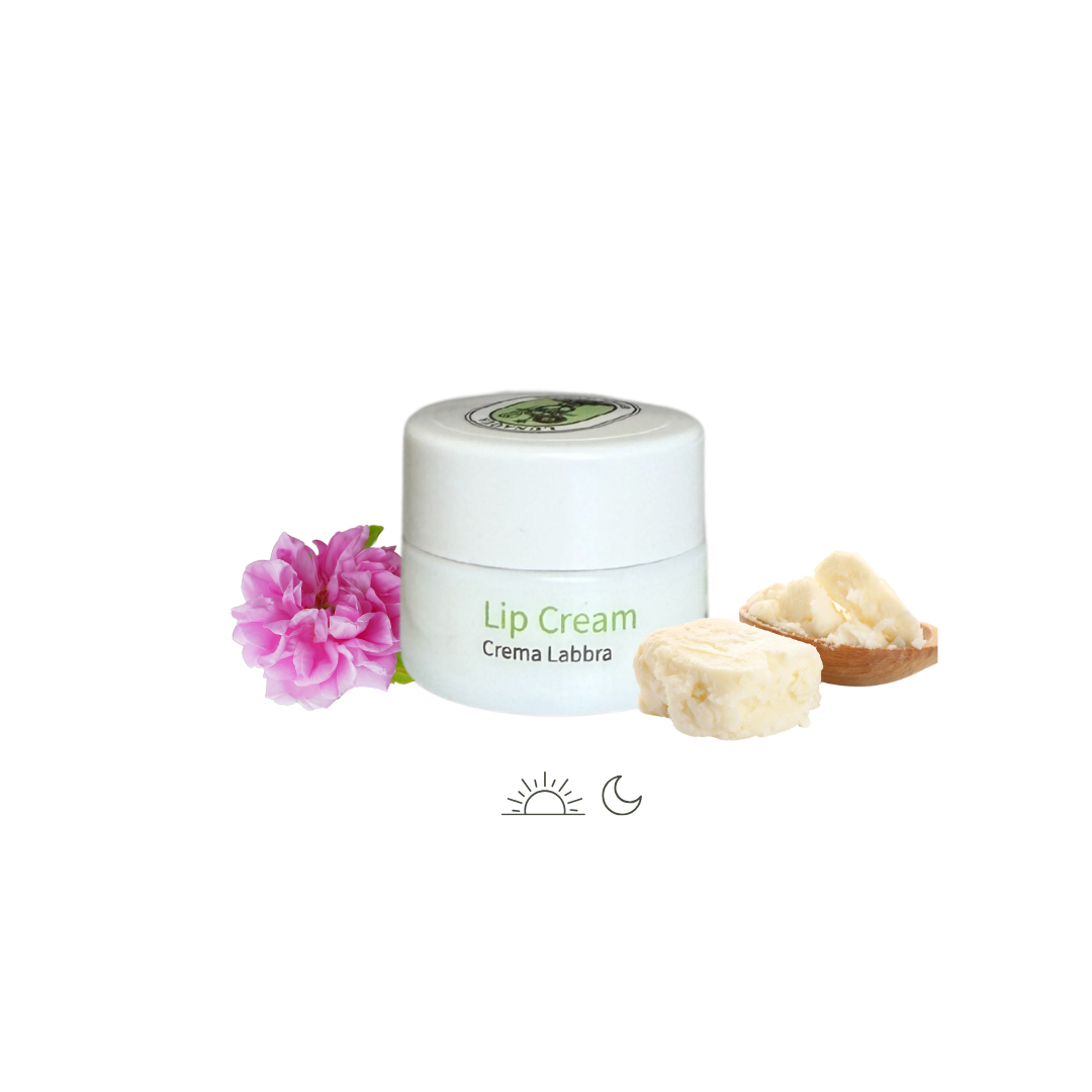 Lip cream jar with a pink flower and shea butter on a white background