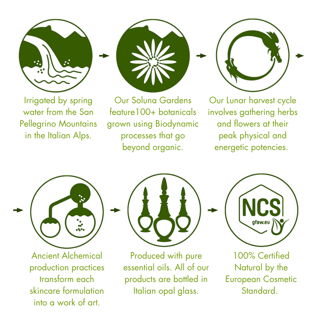 Diagram of Soluna Gardens' production process with icons and text on a white background