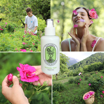 Rosewater Toner