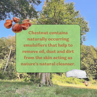 Chestnut Facial Cleanser