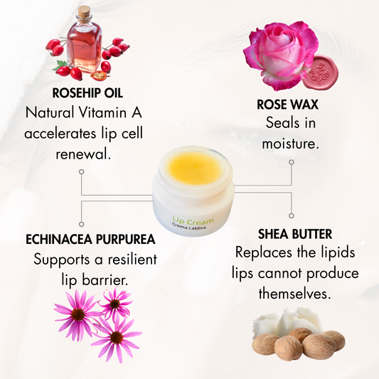 Lip Cream