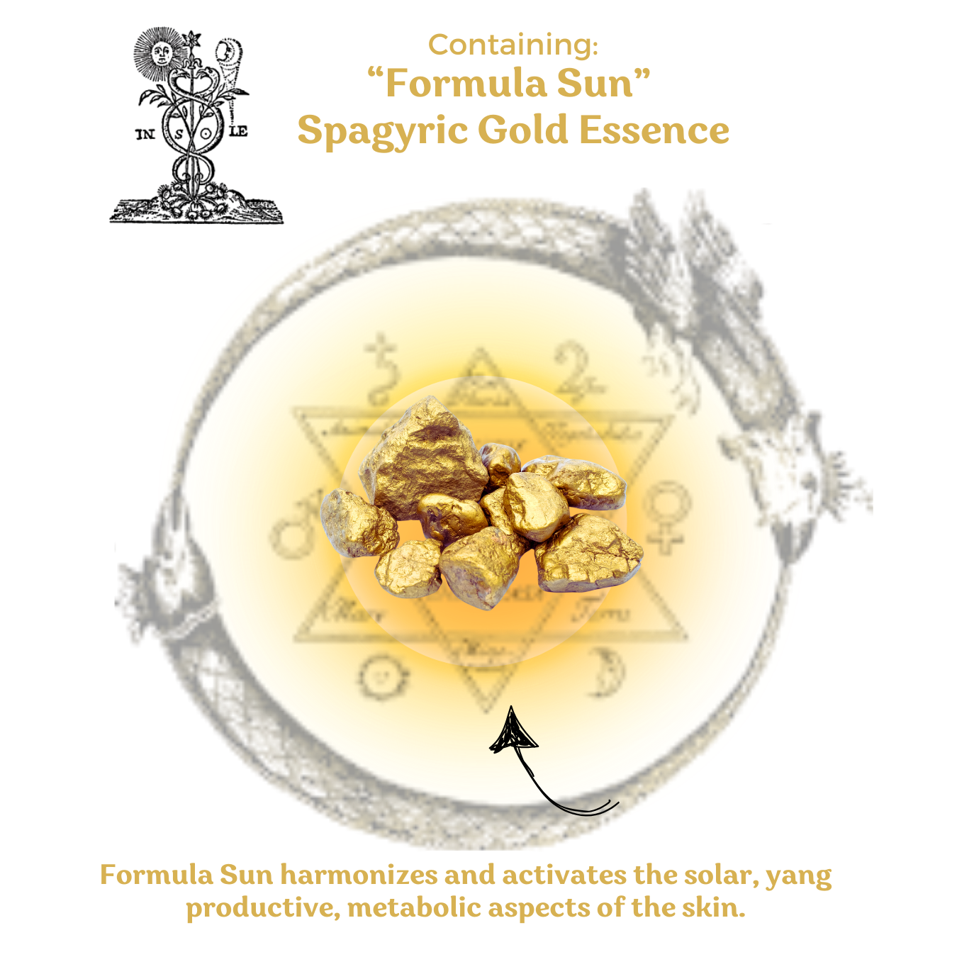 Solar Day Cream