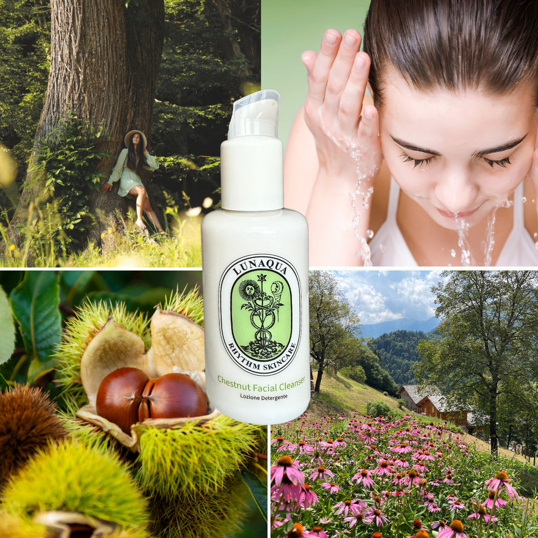 Chestnut Facial Cleanser
