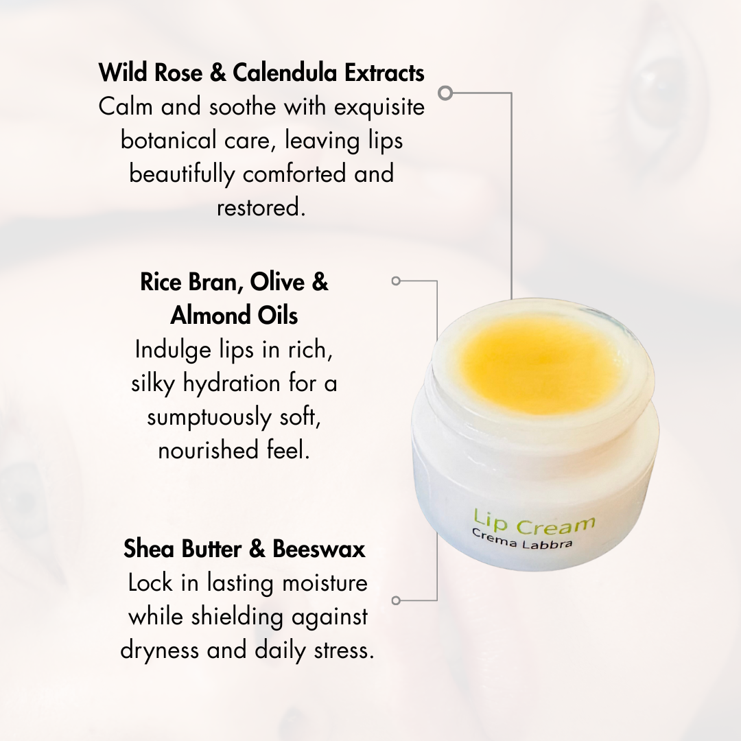 Lip cream jar with ingredients listed on a light gray background