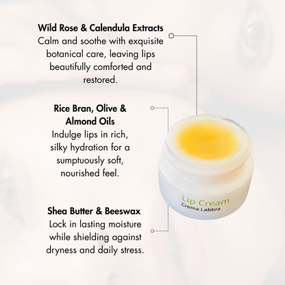 Lip cream jar with ingredients listed on a light gray background